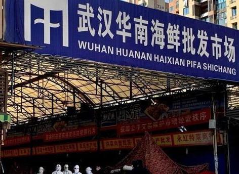 【华南海鲜市场法人,华南海鲜市场老板怎么处理 www古城com】 【华南海鲜市场法人,华南海鲜市场老板怎么处理 www古城com】