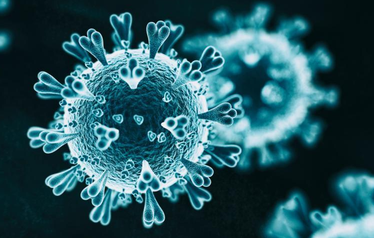 【安徽滁州新冠肺炎疫情/安徽滁州新型冠状病毒最新消息】 【安徽滁州新冠肺炎疫情/安徽滁州新型冠状病毒最新消息】