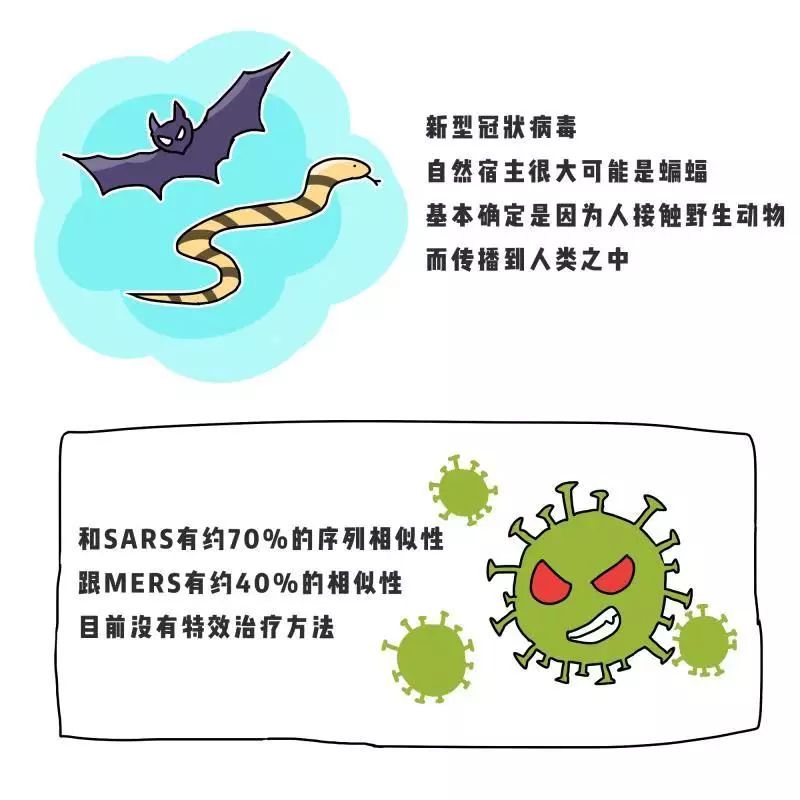 新型冠状病毒重复感染,挑战与应对 新型冠状病毒重复感染,挑战与应对