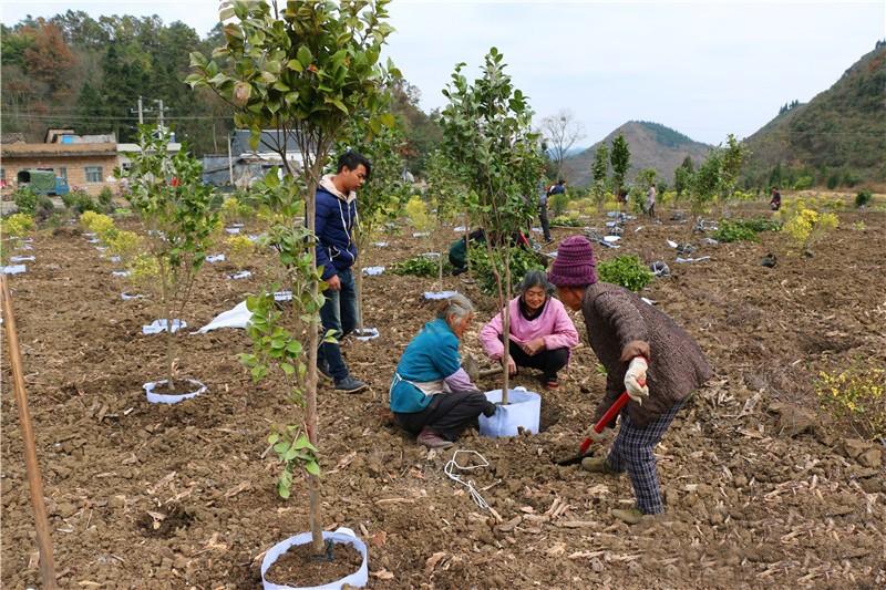 【全国解封时间,全国解封时间是多久】 【全国解封时间,全国解封时间是多久】