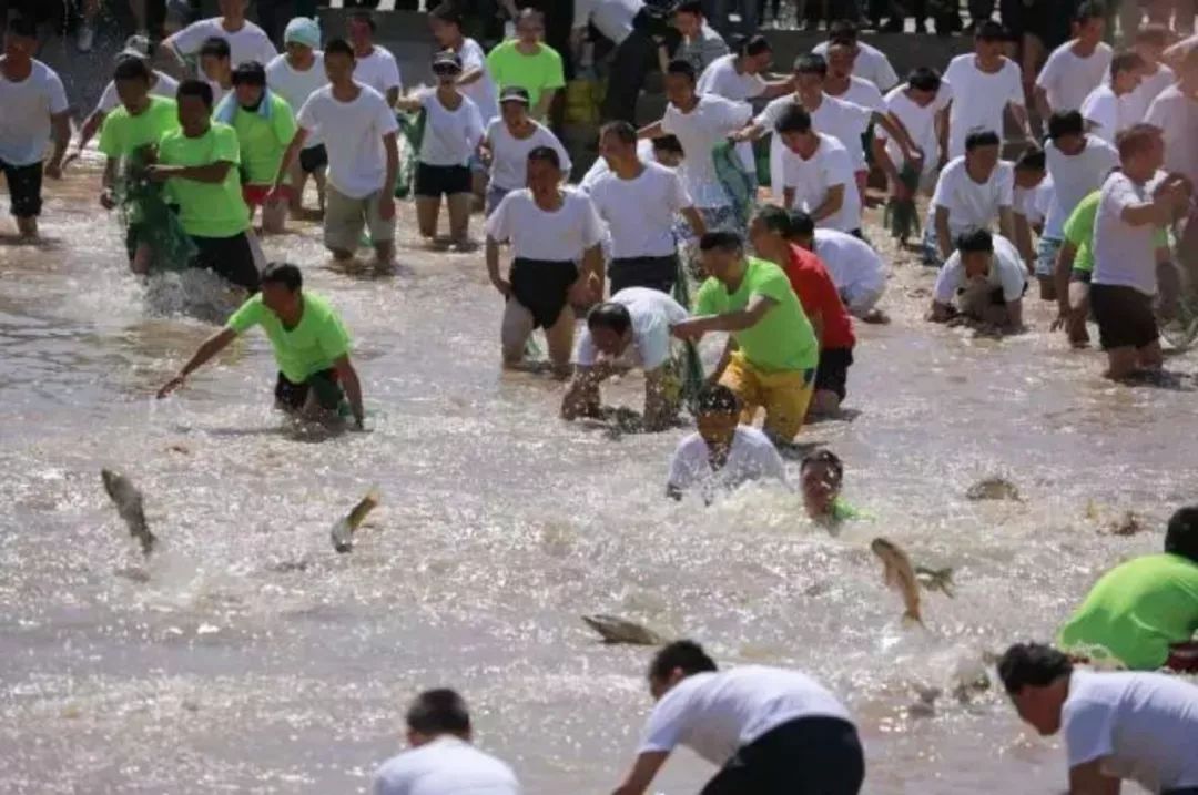 混水摸鱼者谁?解一鲶鱼之肖 混水摸鱼者谁?解一鲶鱼之肖