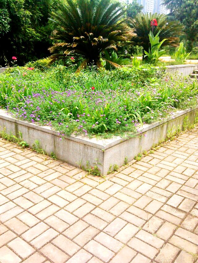 长沙民政职业学院招生简章/长沙民政职业技术学院招生计划2020 长沙民政职业学院招生简章/长沙民政职业技术学院招生计划2020