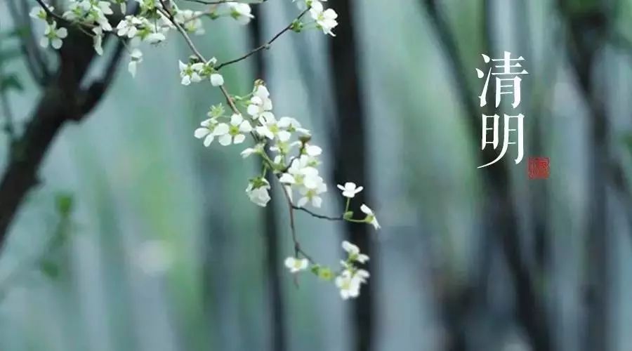 清明时节话清明,四月五号是啥节日? 清明时节话清明,四月五号是啥节日?