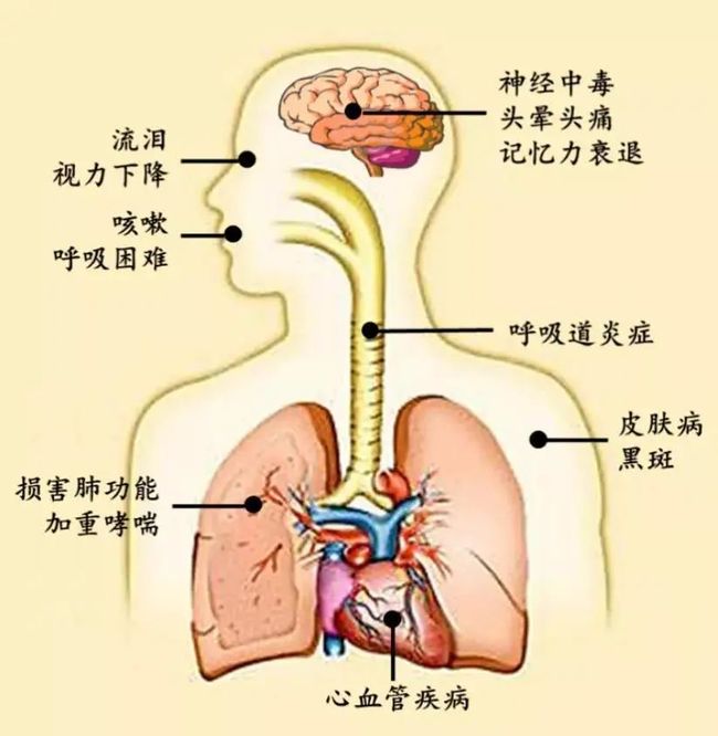 新型肺炎前几天的症状，警惕这些早期信号