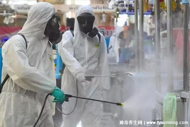 【新冠疫情是哪一年开始的/新冠疫情是几几年开始的】