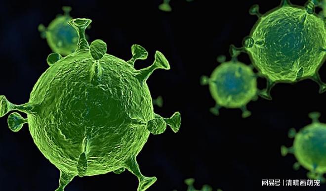 变异株新冠病毒,全球抗疫战的新挑战与应对 变异株新冠病毒,全球抗疫战的新挑战与应对