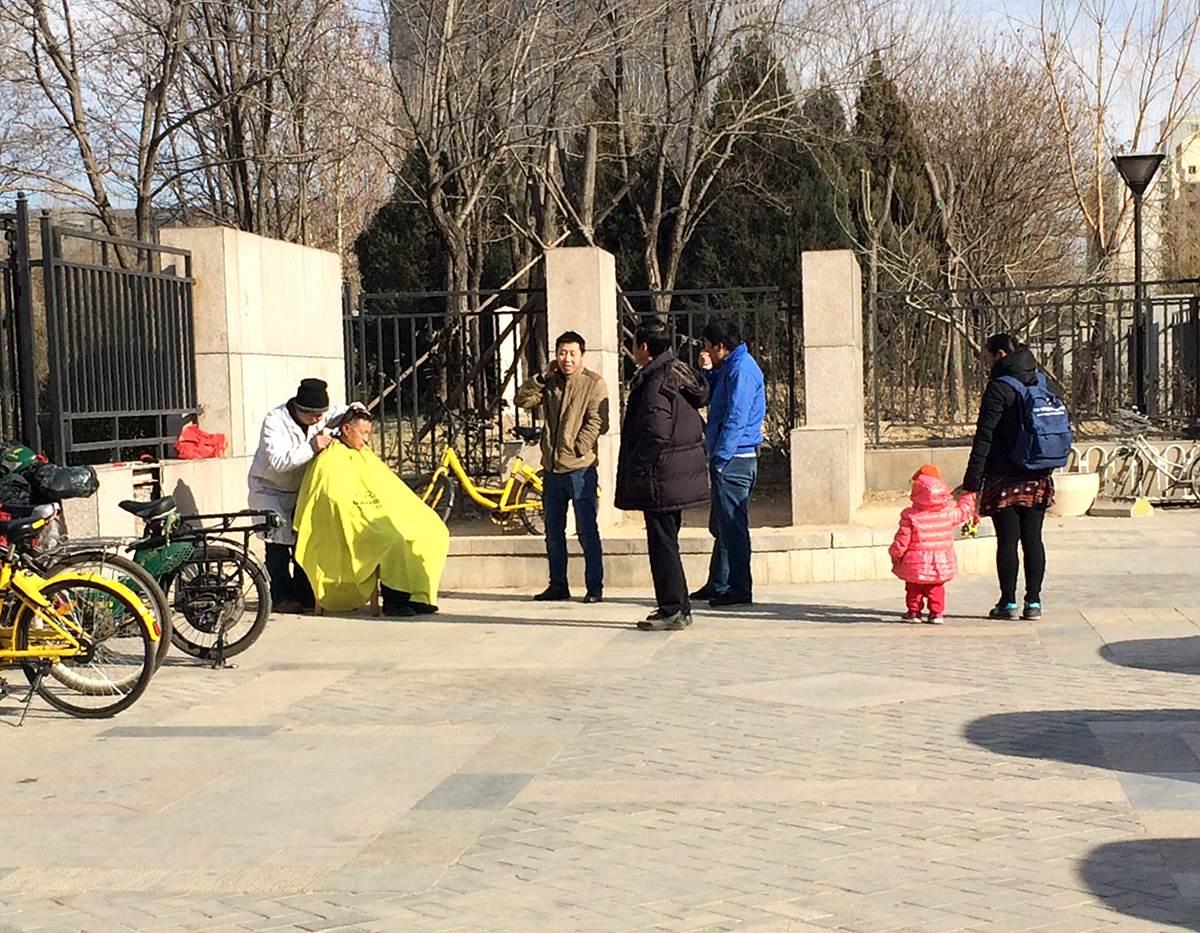 查违章车辆查询北京/北京查违章车辆查询app 查违章车辆查询北京/北京查违章车辆查询app