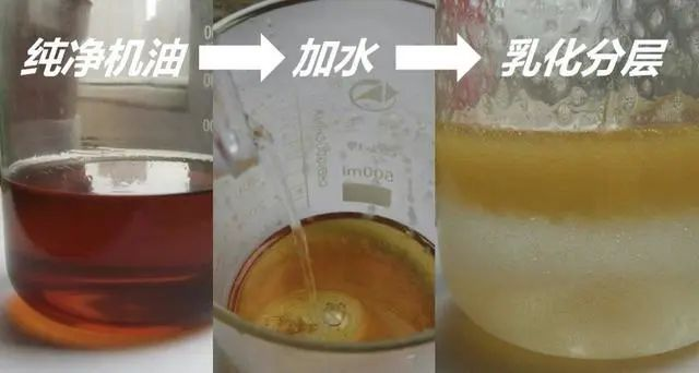 【石家庄放开疫情,石家庄疫情防控什么时候解除】