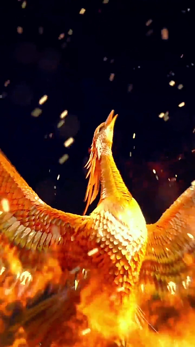 凤凰,浴火与人间烟火 凤凰,浴火与人间烟火