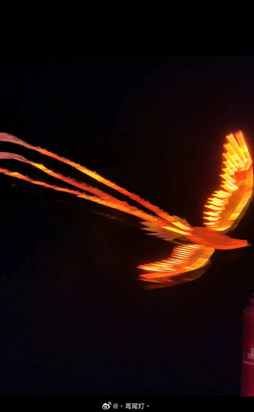 凤凰,浴火与人间烟火 凤凰,浴火与人间烟火