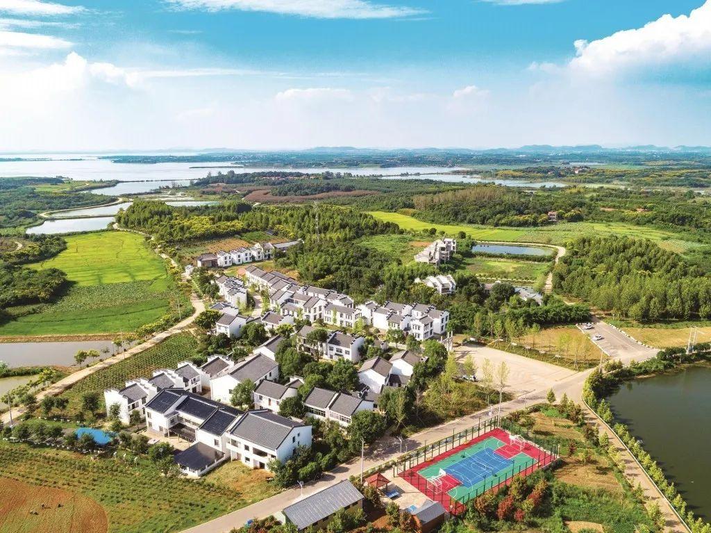 江夏区疫情防控通知/江夏区疫情防控指挥中心