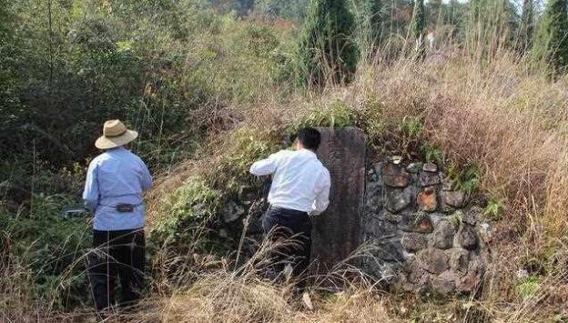 21年清明节可以去扫墓了吗?各地政策与注意事项全解析 21年清明节可以去扫墓了吗?各地政策与注意事项全解析