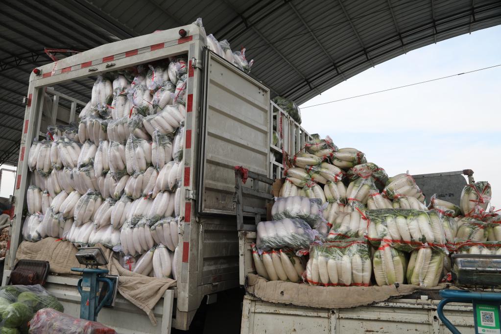 兰州科学精准筑牢疫情防线 全力守护市民健康安全 兰州科学精准筑牢疫情防线 全力守护市民健康安全