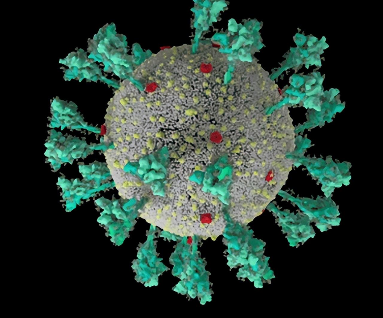 奥密克戎病毒症状早期表现:奥米克戎 奥密克戎病毒症状早期表现:奥米克戎