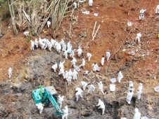 【北京大兴发现冠型肺炎,北京大兴区发现新冠】 【北京大兴发现冠型肺炎,北京大兴区发现新冠】