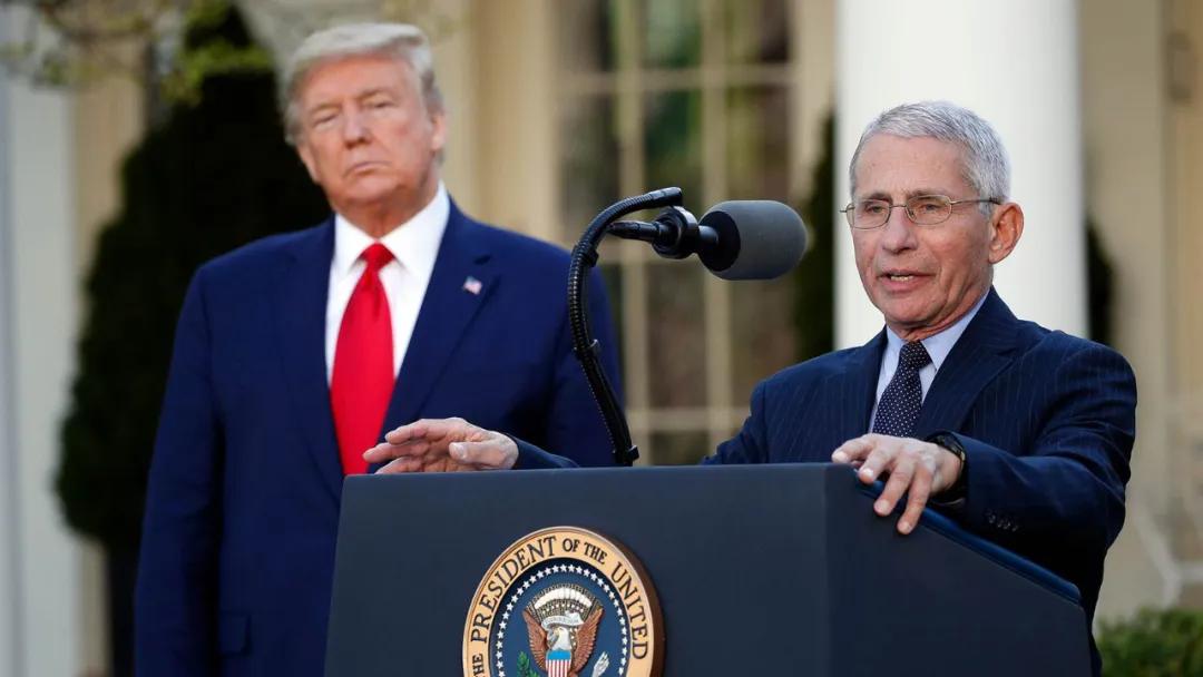 美国单日新增确诊人数超10万,疫情反弹的警示与反思 美国单日新增确诊人数超10万,疫情反弹的警示与反思