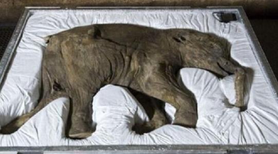 江西万年新型冠状病毒/江西万年疫情