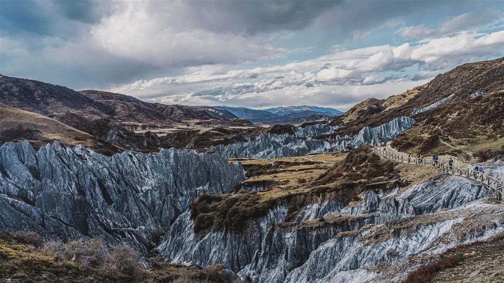 行程卡几时更新/行程卡几时更新过