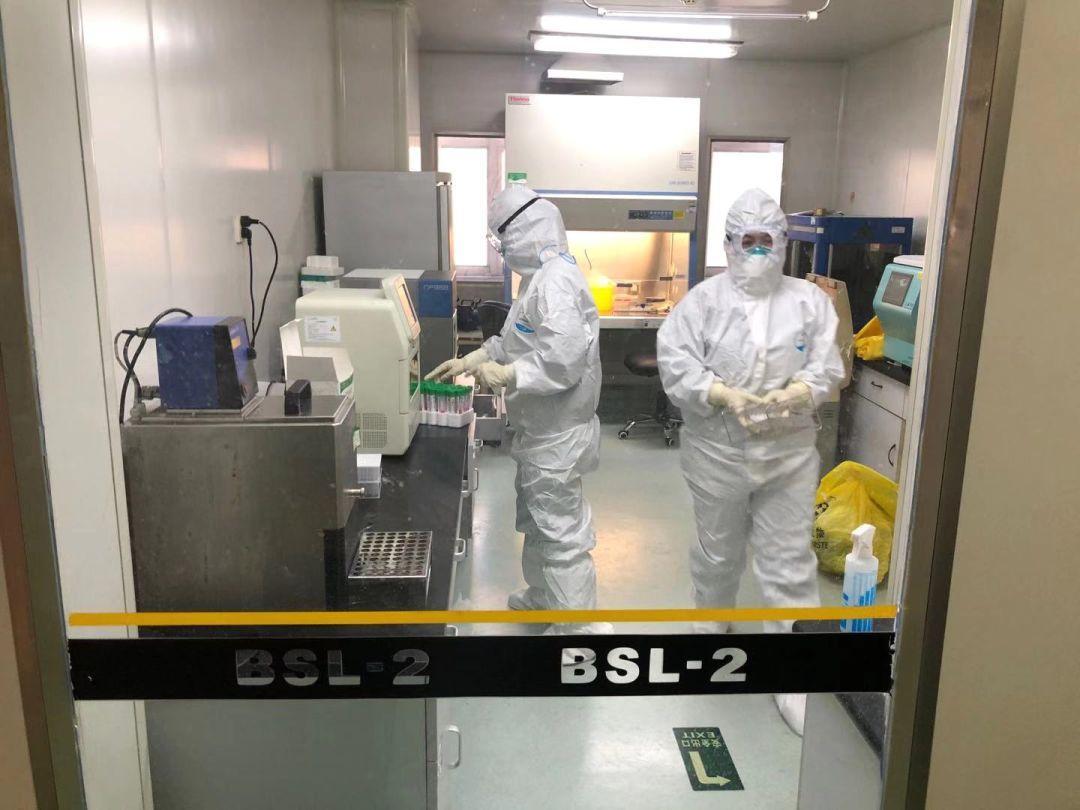 新冠河北(新冠河北石家庄) 新冠河北(新冠河北石家庄)