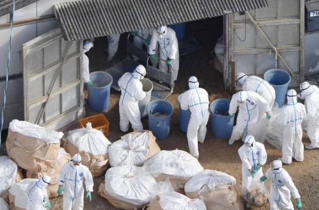 重庆本地感染者,坚韧中的守望与城市的温度 重庆本地感染者,坚韧中的守望与城市的温度