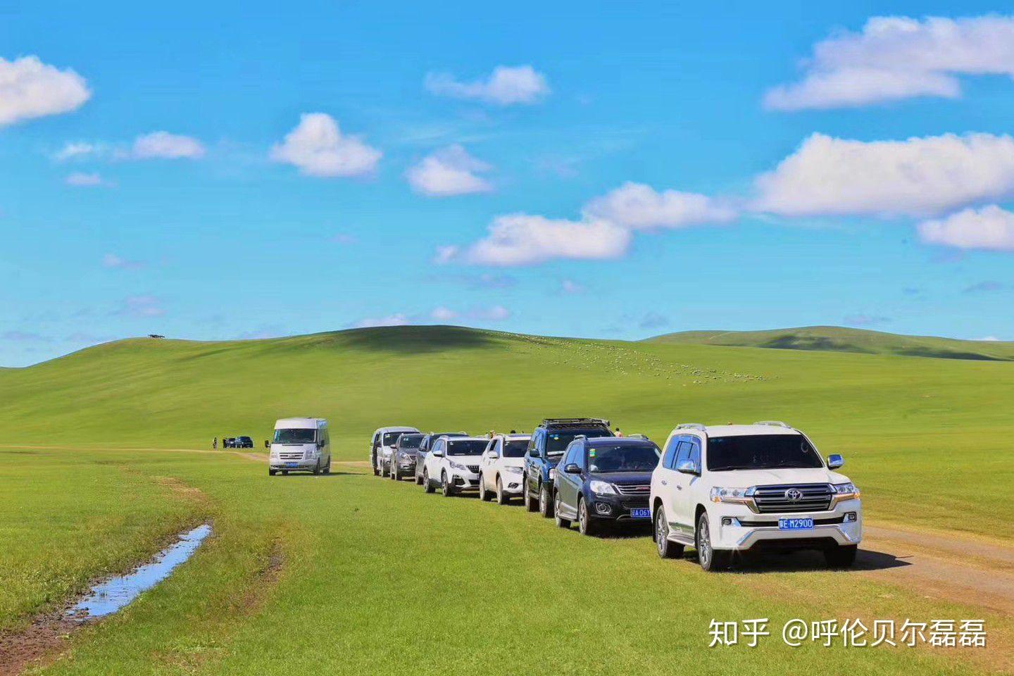 沈阳患者去旅游内蒙:沈阳现在去内蒙需要隔离吗 沈阳患者去旅游内蒙:沈阳现在去内蒙需要隔离吗