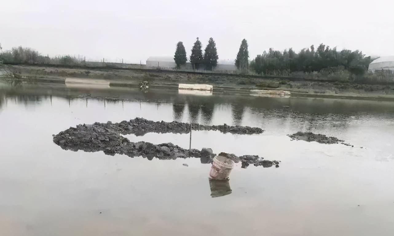嘉兴鱼塘惊现天外坠物,抽干万方水求真相 嘉兴鱼塘惊现天外坠物,抽干万方水求真相