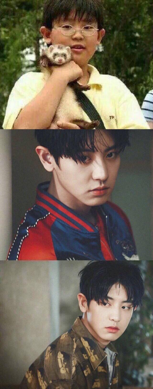 【11月8日是黄道吉日吗,11月8日是黄道吉日吗?宜干什么事呢】 【11月8日是黄道吉日吗,11月8日是黄道吉日吗?宜干什么事呢】