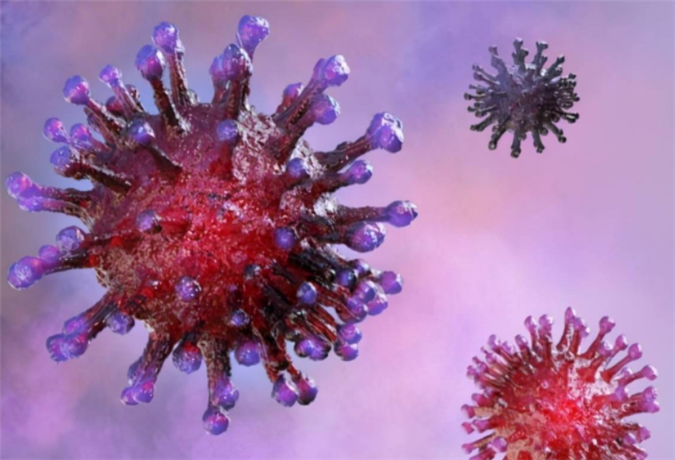 广州病毒变异株:广州病毒变异株有哪些