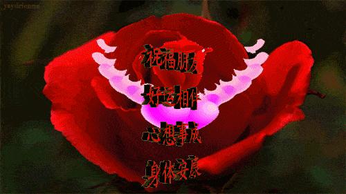 11月2日黄历解读，吉日择选与传统文化智慧