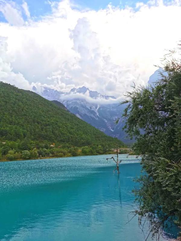 【全国疫情高风险地区全部清零/全国疫情高风险地区全部清零最新消息】