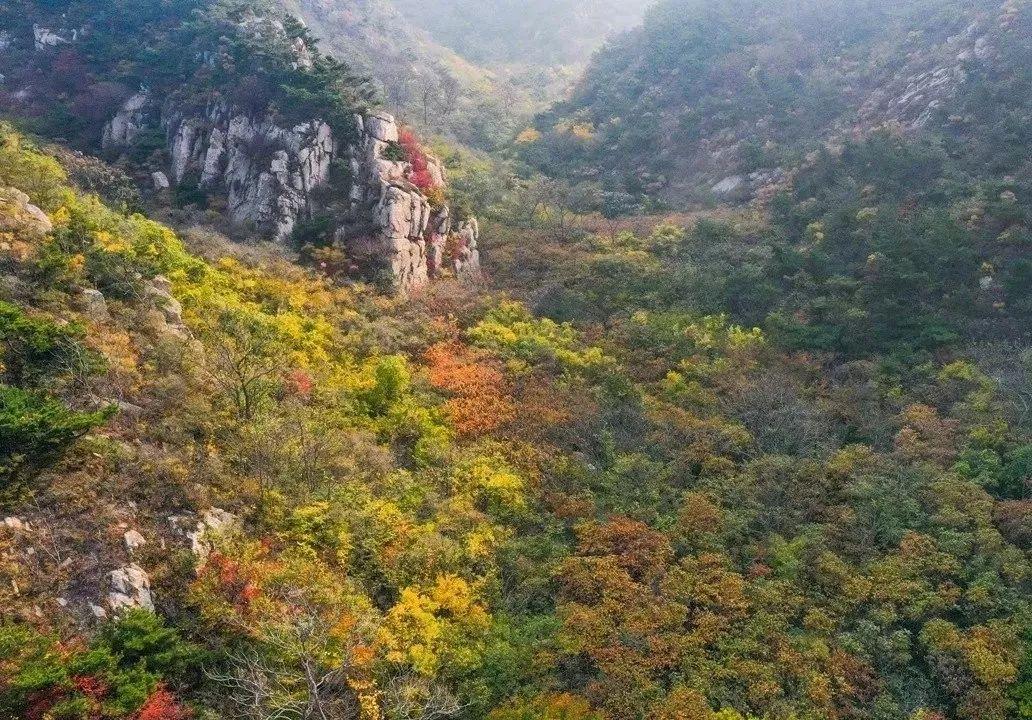 烟台新增4例本土:烟台新增1例本土