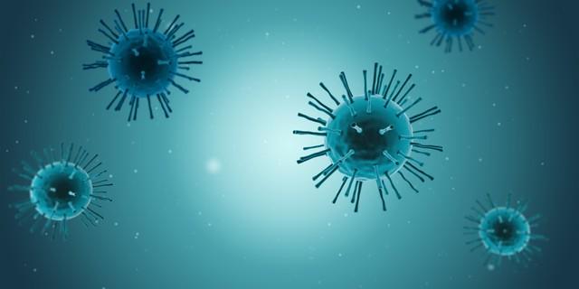 新冠病毒不同毒株:新冠病毒株种类
