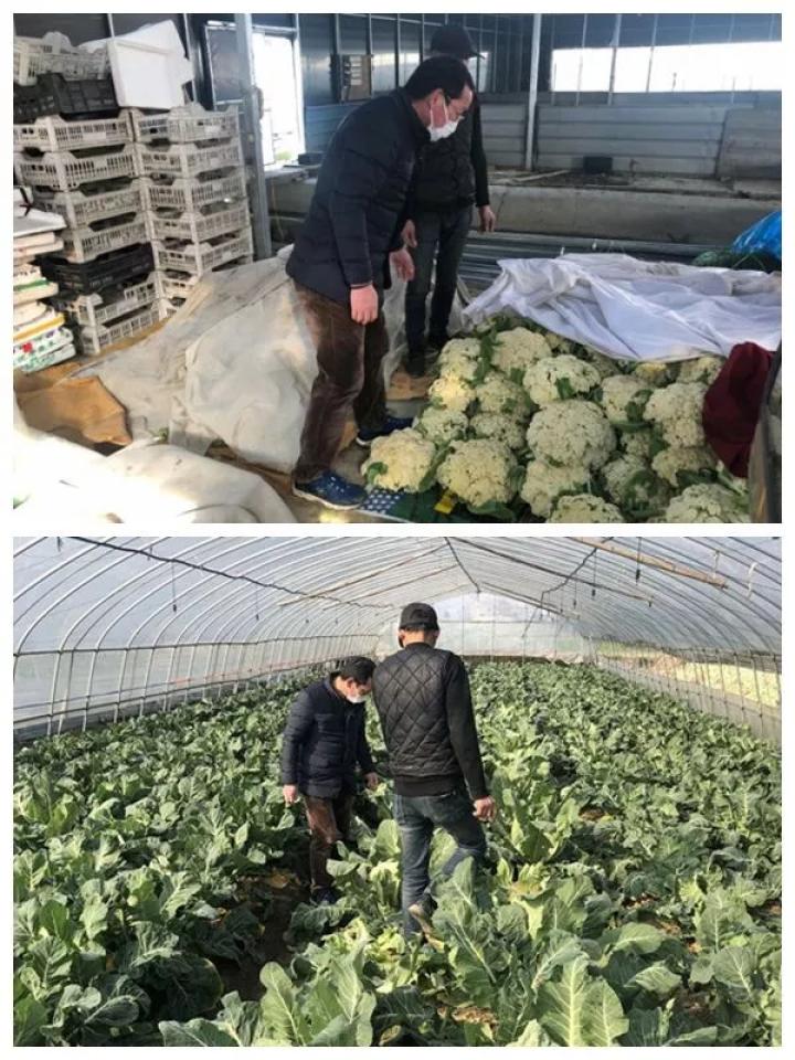 海宁2021年疫情回顾,在挑战中凝聚前行力量 海宁2021年疫情回顾,在挑战中凝聚前行力量