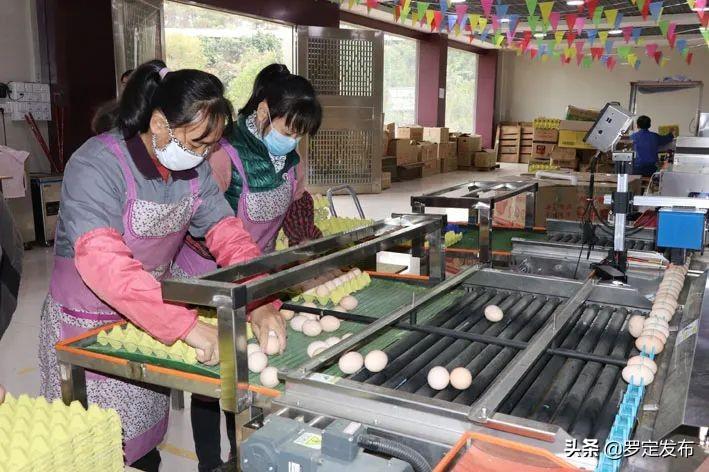 【罗定疫情最新情况,罗定疫情最新情况最新消息】