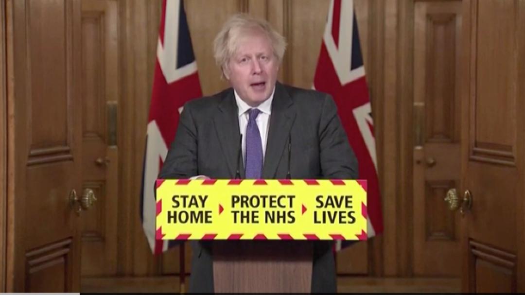 新冠最早/新冠最早发现时间