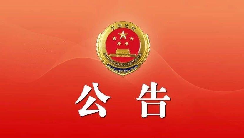 【宠物回国2021/宠物回国没申报会怎么样】