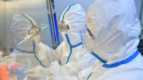 非必要不能离沈（什么叫非必要不离沈）