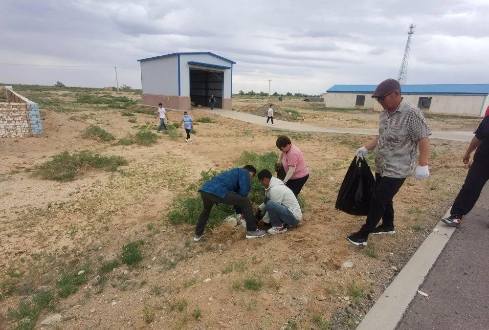 【全国最新疫情最新消息动态/全国最新疫情最新消息动态查询】