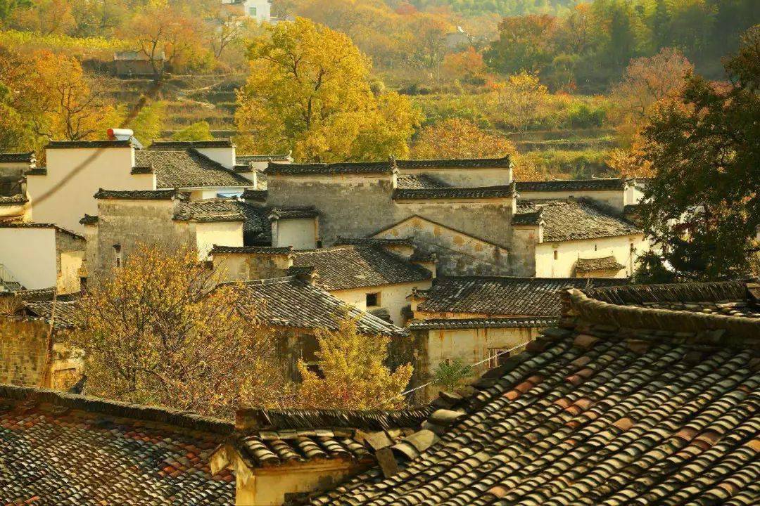 大冲，中山古村落里的时光密码