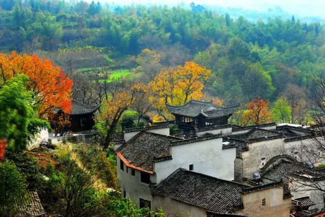 大冲，中山古村落里的时光密码