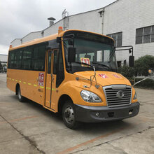 校车费用解析，一个月究竟需要多少钱？