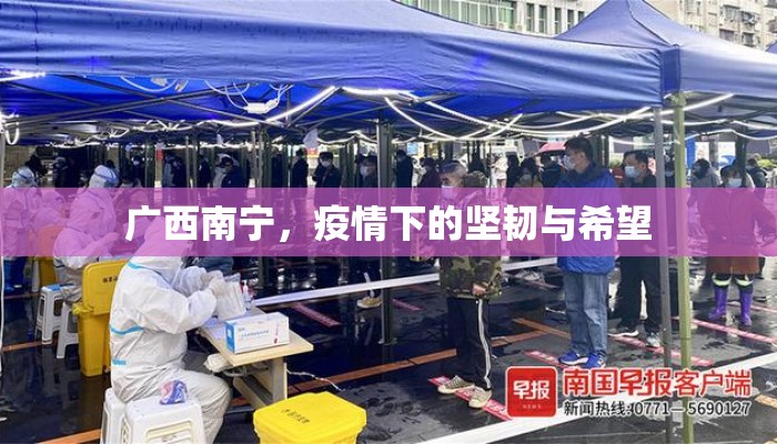 南宁燕子岭，疫情下的坚韧与温情