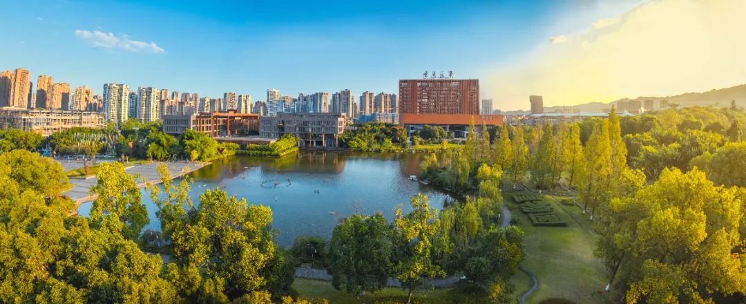 重庆有什么大学排名一览表，2024年重庆高校综合实力与特色解析