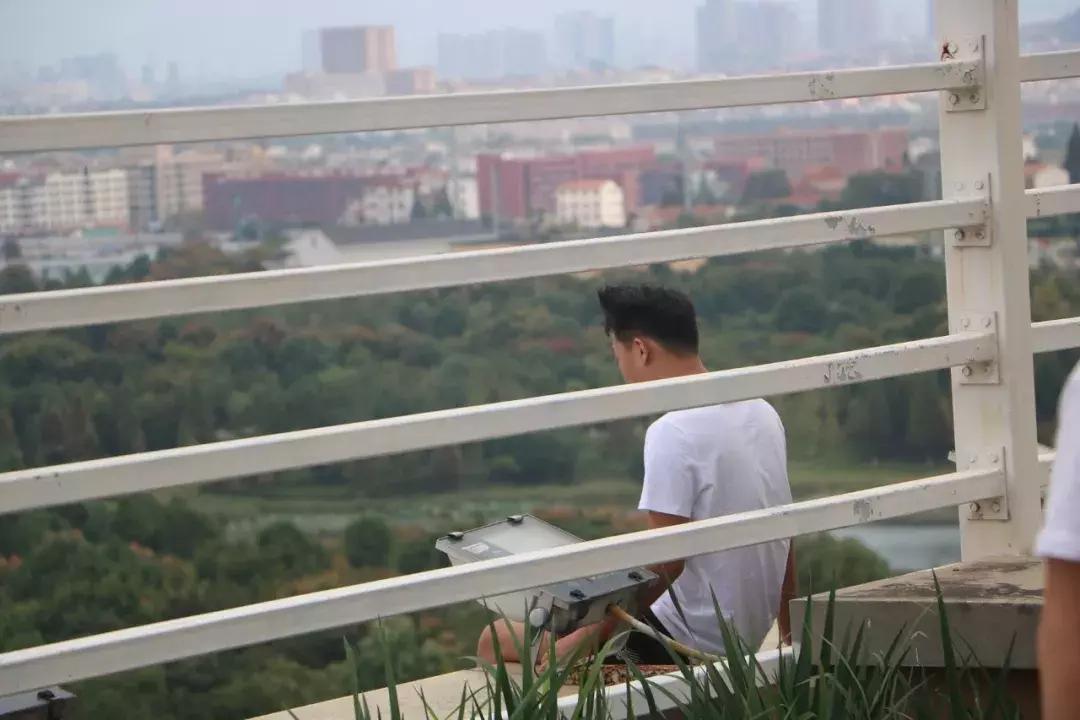 义乌交通警察违章查询/义乌交通警察违章查询官网