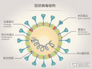 新冠再次感染几率，我们该如何应对？