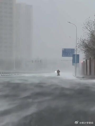 石家庄封城2024，一座城市的暂停与重启