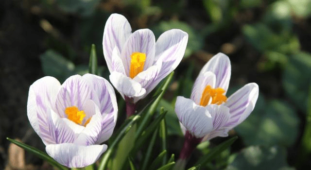 2021.4.25限号（202145限号吗）