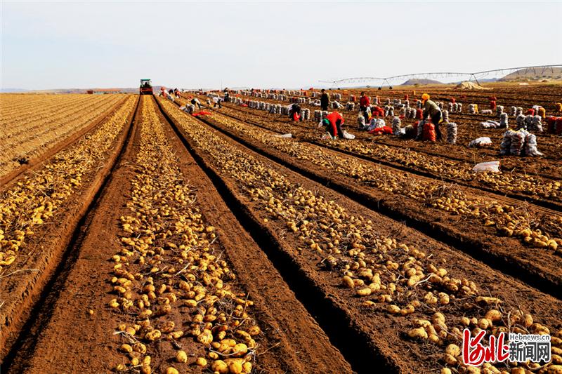 承德围场，生态保护与经济发展的新篇章
