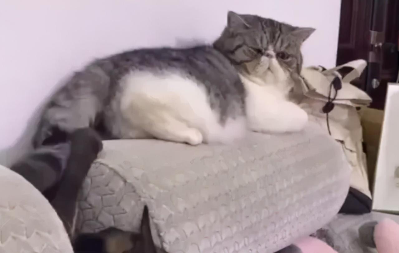 【南京排队做核酸感染,南京核酸检测阳性有多少人】