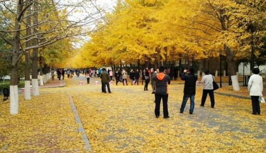 辽宁高考郑州大学分数线/辽大河南高考分数线